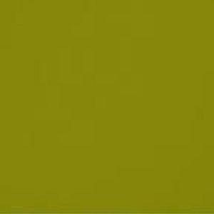 Meet your Posher, Ramon